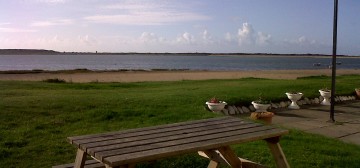 View from the patio