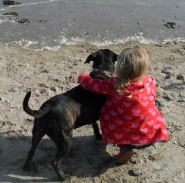 Dogs love holidays too