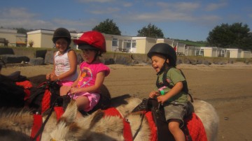 Donkey rides on beach