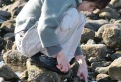 Explore the wonders of rock pools